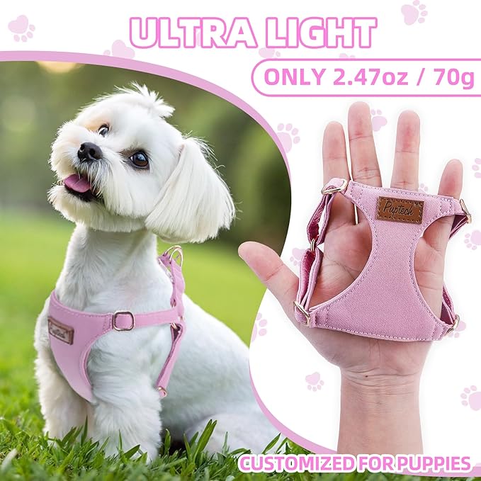 PUPTECK Dog Harness and Leash Set Small Sized, Step-in Cute Puppy Harness, Soft Lightweight Padded Vest, Escape Proof No Pull Pet Harnesses Easy for Walking, Purple, M