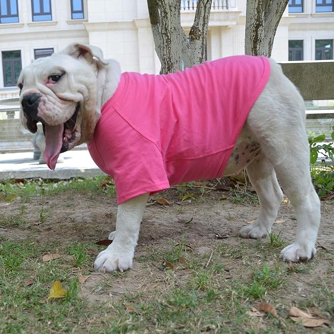 Lovelonglong Bulldog Clothes Dog Clothing Blank T-Shirt Tee Shirts for French Bulldog English Bulldog American Pit Bull Pugs 100% Cotton Skin Care Rose-red B-S
