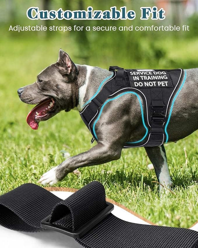 Reflective Black Service Dog in Training Vest Harness for Medium Dogs, Adjustable Heavy Duty Padded Dog Harness, with Front Clip and Metal Buckles Do Not Pet for Training, Hiking