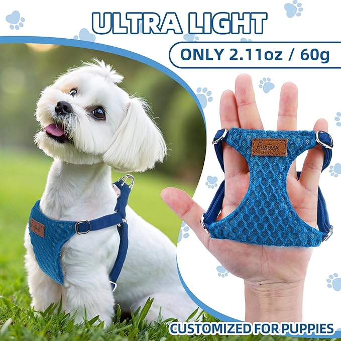 PUPTECK Dog Harness and Leash Set Small Sized, Step-in Cute Puppy Harness, Soft Lightweight Padded Vest, Escape Proof No Pull Pet Harnesses Easy for Walking, Blue, S