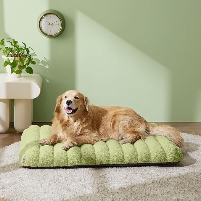 Lesure Cute Orthopedic Dog Bed for Extra Large Dogs, XL Waterproof Chic Flat Pet Beds with Removable Washable Cover, Fuzzy Thick Egg Crate Foam Pet Mat for Indoor Use (44" x 32", Green)