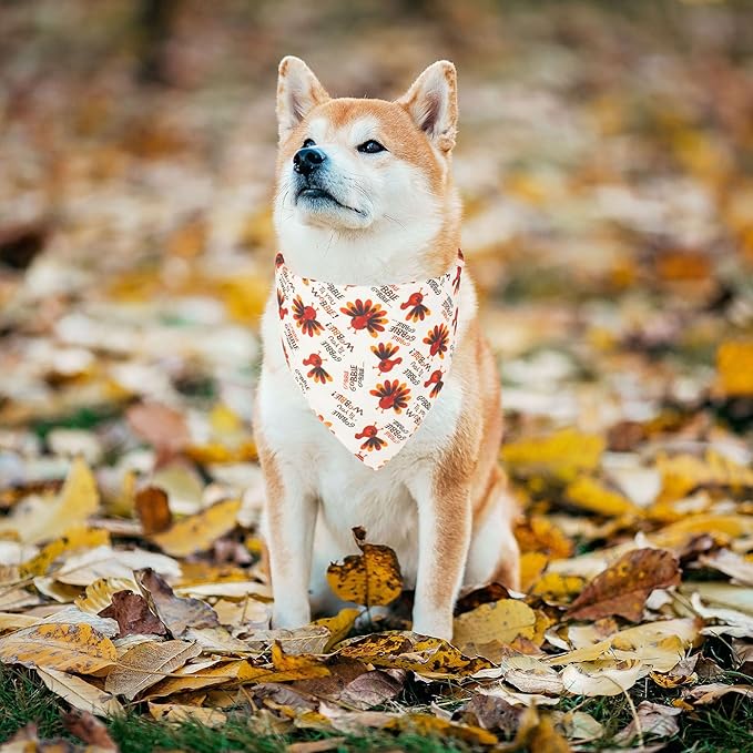 ADOGGYGO Thanksgiving Dog Bandana Fall Autumn Pet Bandana Reversible Triangle Bibs Scarf Accessories for Medium Large Dogs Pets (Large, Thanksgiving)