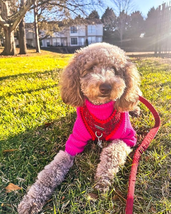 Fitwarm Valentines Dog Turtleneck Sweater, Dog Winter Clothes for Small Dogs Girl, Knitted Pet Coat, Cat Outfit, Hot Pink, Small