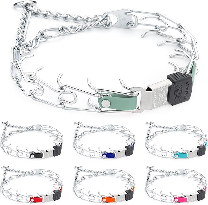 Herm Sprenger Chrome Plated Steel Dog Collar with Quick Release ClicLock Buckle and Biothane Insert Training Collar for Dogs Made in Germany (Sage Green, 22in x 3.0mm(Neck Size up to 18-19in))