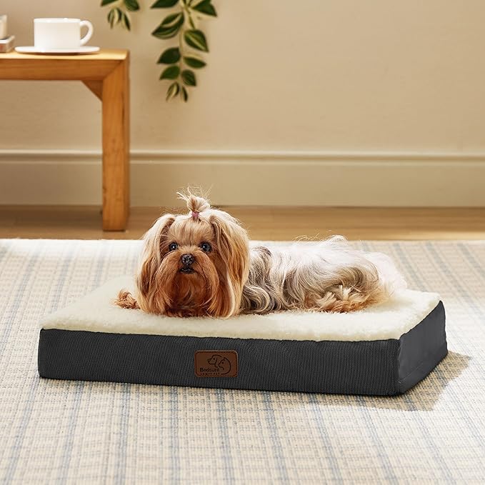 Bedsure Dog Bed for Small Dogs - XS Orthopedic Waterproof Puppy Beds with Removable Washable Cover, Egg Crate Foam Pet Mat, Suitable for Pet or Cats Up to 15 lbs