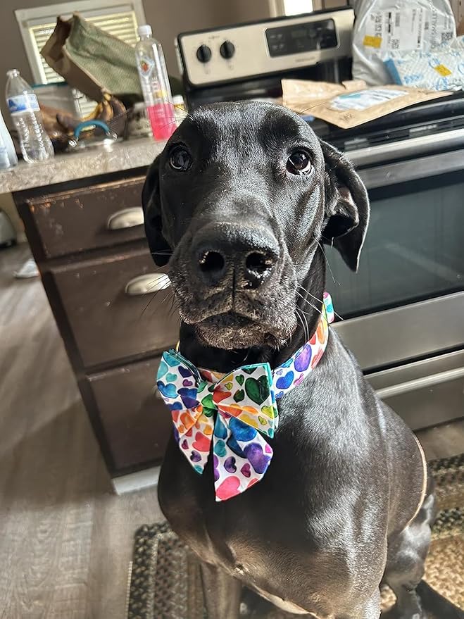 Lionet Paws Valentines Day Dog Collar with Bowtie, Dog Sailor Bow Collar with Metal Buckle for Dogs and Cats, Adjustable Comfortable Dog Collar Girl Gift, S, Neck 10-16 in