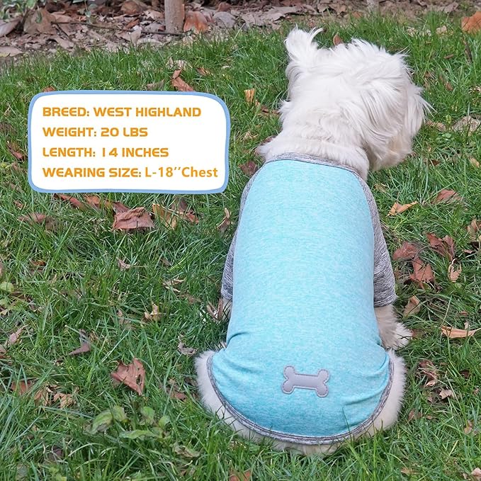 KYEESE 2 Pack Dog Shirts for Large Dogs Quick Dry Breathable Stretchy Dog T-Shirt with Reflective Label Raglan Sleeve Pet Apparel for Large Dogs, Grey+Lake Blue, 3XL