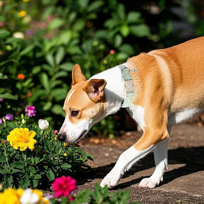 Cotton Dog Collar, Cute Green Summer Puppy Collar with Plastic Buckle, Adjustable Soft Natural Fabric Pet Collar for Small Medium Large Dogs