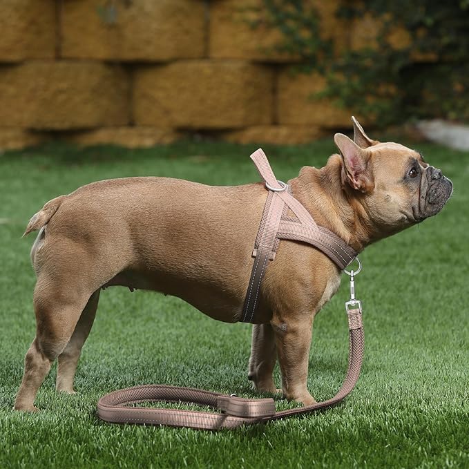 Plutus Pet No Pull Dog Harness with Breathable Mesh Padded, Adjustable Reflective Escape Proof Dog Harness, Quick Fit Dog Vest Harness for Small Medium Large Dogs(XXS, Beige)