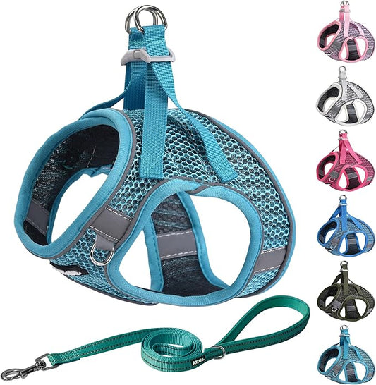 AIITLE Step in Dog Harness and Leash Set for Walking - Adjustable Dog Harness with Padded Vest for All Weather, Reflective Adjustable Pet Harness, Easy to Put on Small Dogs Turquoise S