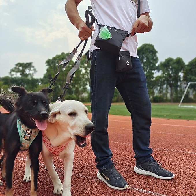 Dog Cat Harness and Leash Set, Puppia Soft Mesh Padded and Adjustable Puppy Vest Cute Dog Clothes Escape Proof Easy Walk Pet Accessories