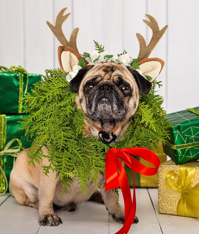 Dog Cat Christmas Reindeer Ears Antlers Headband Adjustable, Forest Flower Elk Hat Headwear Pet Deer Hair Cosplay Costumes Accessories for Halloween Merry Christmas (S(for Cats and Small Dogs))