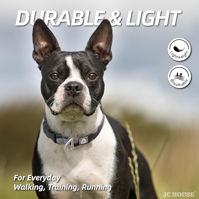 Soft Padded Dog Collar, Neck 9’’-14’’, Adjustable Heavy Duty Collar with 3M Reflective Logo for Small Dogs, Camo Dark Gray, S