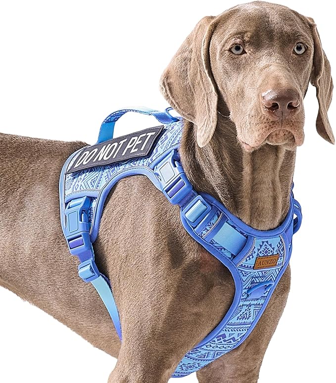 No Pull Dog Harness for Large Dogs with 2 Metal Clips, Easy On/Off with Neck Buckle, Heavy Duty Adjustable Tactical Puppy Vest, Breathable Pet Harness with Easy Control Handle, Blue L