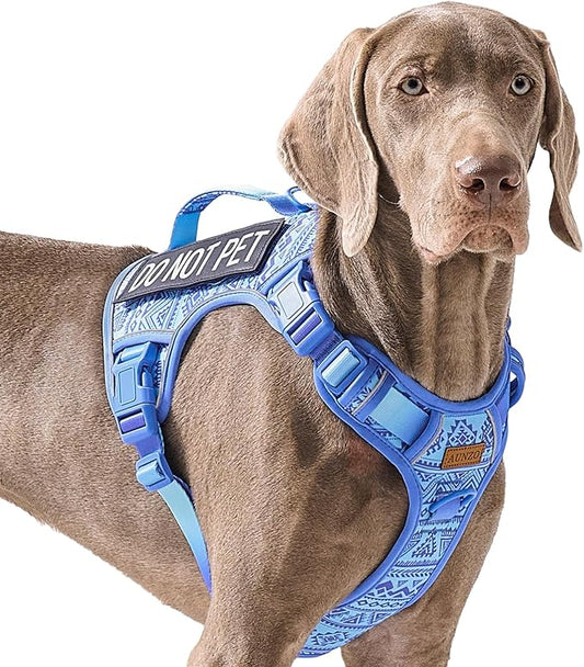 No Pull Dog Harness for Large Dogs with 2 Metal Clips, Easy On/Off with Neck Buckle, Heavy Duty Adjustable Tactical Puppy Vest, Breathable Pet Harness with Easy Control Handle, Blue L