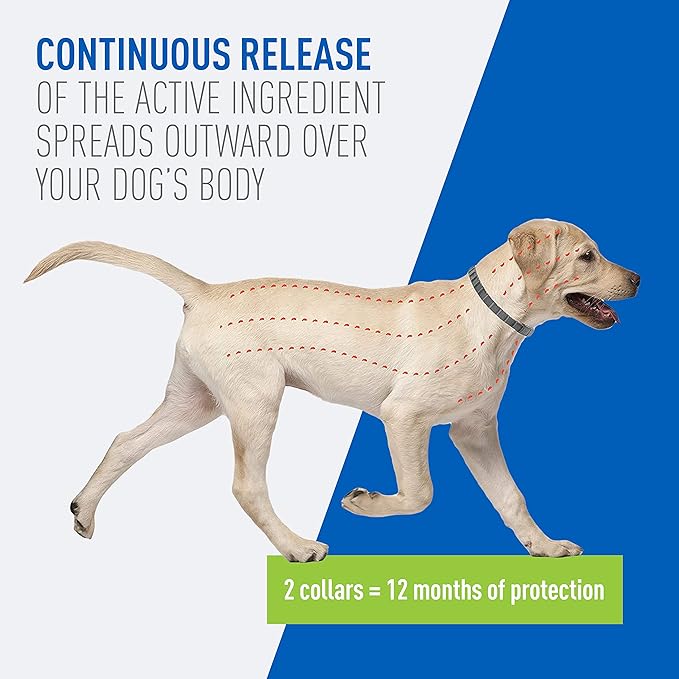 Flea & Tick Collar for Dogs & Puppies ; 2 Pack ; 12 Months Protection ; Adjustable One Size Collar Fits All Dogs 12 Weeks & Older ; Kills Fleas & Ticks ; Repels Mosquitoes (Excluding California)