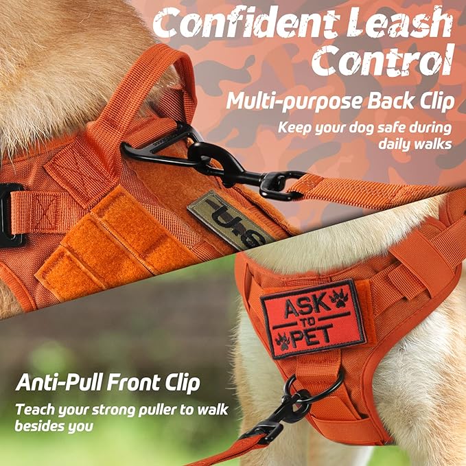 rabbitgoo Tactical Dog Harness for Small, Heavy Duty Pet Harness with Handle, No-Pull Service Vest Small Breed, Adjustable Military Dog Vest for Training Hunting Walking, Orange, S