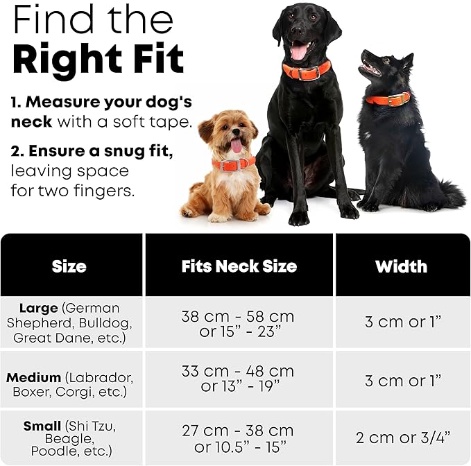 Regal Dog Products Small Orange Reflective Dog Collar and Leash Set - Waterproof Biothane Dog Collar with Heavy Duty Double Buckle, D Ring & 5ft Leash - Other Size for Medium & Large Dogs