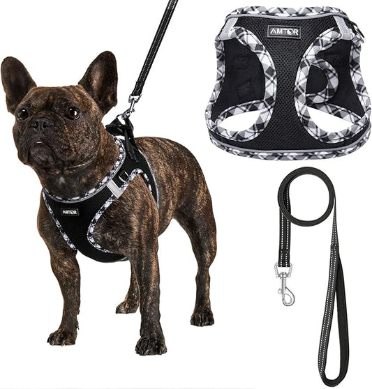 AMTOR Small Dog Harness with Leash Set, No Escape Easy Walk Puppy Harnesses for Training Walking, Step-in Reflective Soft Dogs Vest for XS S Medium Extra-Small Large Sized Dog(Blackwhite,M)