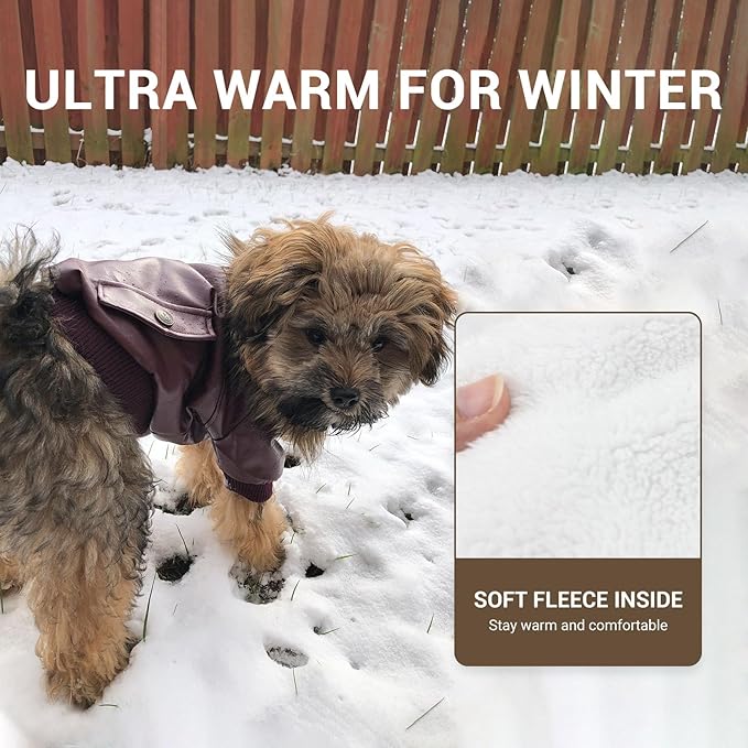 LESYPET Leather Dog Coat Waterproof Dog Winter Coat Puppy Jacket for Small to Medium Dogs, Red Large