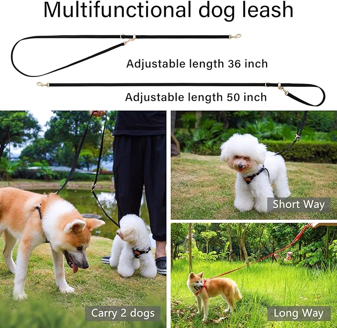 CHEDE No Pull Puppy Harness and Multifunction Dog Leash Set- 8 Colors Soft Adjustable No Choke Escape Proof Cute,Lightweight Pet Vest Harness for Small and Medium Dog (M, Black)