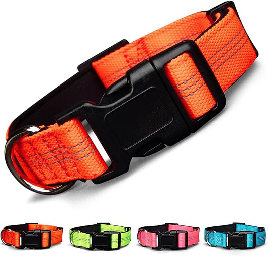 BLAZIN Reflective Dog Collar - Vibrant Color for Day and Night - Soft Neoprene Padded Collar - Adjustable Sizing -'Color Me Happy!' Dog Collars - Brighter Means Safer - (Small, Orange)