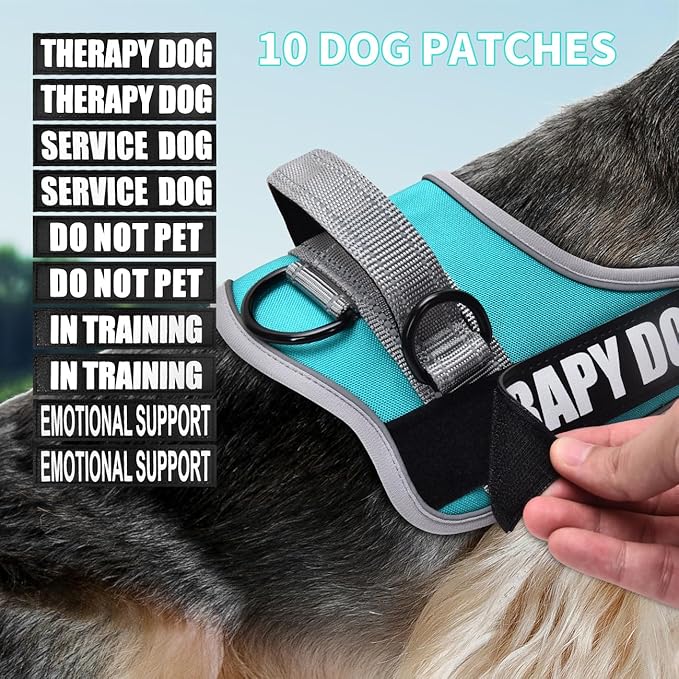 Dog Vest Harness and Leash Set, Animire Reflective Service Dog Vest in Training Dog Harness with 10 Patches, 3 Rings Emotional Support Therapy Dog Harness for Small Medium Large Dogs(Teal,M)