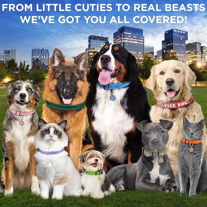 TECEUM Reflective Pet Collar – Purple – XS – Extra Soft Padding – Basic Nylon Dog Collar – Quick Release Buckle – Fits Small, Medium and Large Dogs, Puppies, Cats – ESA & Service Dog Options