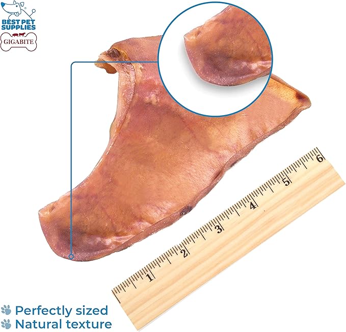 Best Pet Supplies GigaBite Roasted Pig Ears for Dogs - Natural Dog Chews, Roasted Pigs Ears, Safe for Puppies and Aggressive Chewers, Cleans Teeth and Gums - Pack of 25