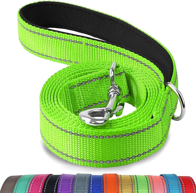 Joytale Double-Sided Reflective Dog Leash, 6 FT/5 FT/4 FT, Padded Handle Nylon Heavy Duty Leashes for Small & Medium Dogs Walking, Green, 4FT