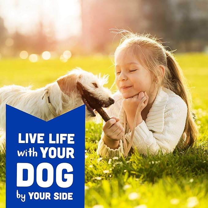 Cloud Star Wag More Bark Less Soft Chews Dog Treats, Bacon, Cheese, & Apples, 6 Oz. Pouch