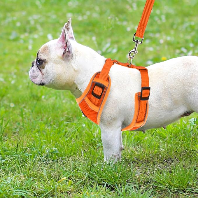 PUPTECK Dog Harness and Leash Set for Small Medium Dogs No Pull, Soft Mesh Adjustable Puppy Cat Harness Reflective at Night, Orange XS