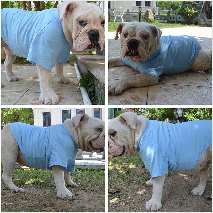 Lovelonglong Pet Clothing Dog Costumes Basic Blank T-Shirt Tee Shirts for Medium Large Dogs Light-Blue XXXL