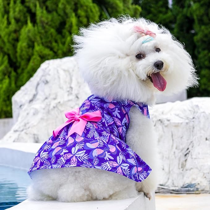 CuteBone Dog Mesh Dress Puppy Sundress Pet Outfit Summer Fashion for Small Dogs Girl Cat Clothes BF25M