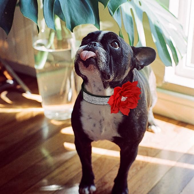 PET ARTIST Bling Dog Collar with Flower, Soft Suede Leather Dog Collar Girl with Sparkling Rhinestone, Cute Red Pet Collars for Small Medium Female Dogs Walking Party Wedding,M