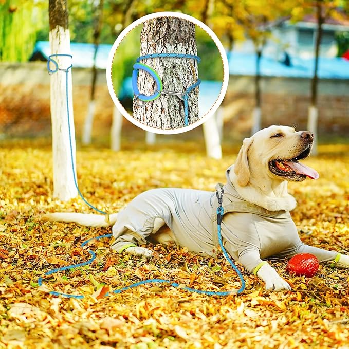 Long Dog Leash for Dog Training 10FT/15FT/20FT/30FT/40FT/50FT/100FT Reflective Leash with 2 Hooks, Heavy Duty Dog Lead for Large Medium Small Dogs Outside Walking Camping Yard, Blue 15FT