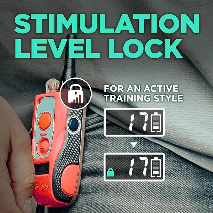 Dogtra E-Collar Tom Davis 280C Boost & Lock, Waterproof, 1/2-Mile Range Dog Training Collar with Remote, Rechargeable, 127 Levels, Vibration, Bungee, No Bad Dogs Trainer for Small, Medium, Large Dogs