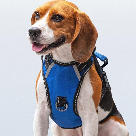 No Pull Dog Harness, Reflective Walking Dog Harness with Easy Control Handle and Front & Back Clips,Adjustable Breathable Soft Padded Dog Vest Harness for Beagle Dog,Blue,M