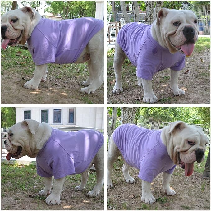Lovelonglong Pet Clothing Dog Costumes Basic Blank T-Shirt Tee Shirts for Medium Small Dogs Violet XL