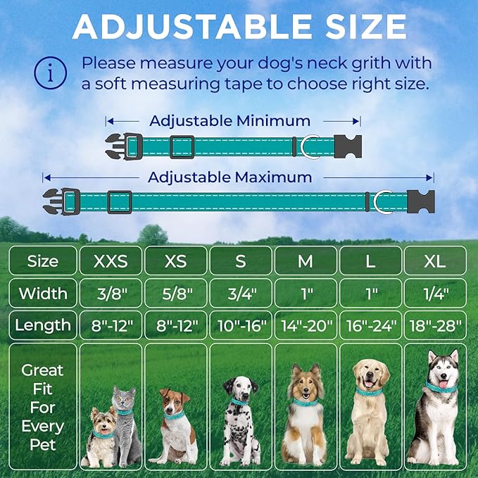 TECEUM Reflective Pet Collar – Teal – S – Extra Soft Padding – Basic Nylon Dog Collar – Quick Release Buckle – Fits Small, Medium and Large Dogs, Puppies, Cats – ESA & Service Dog Options