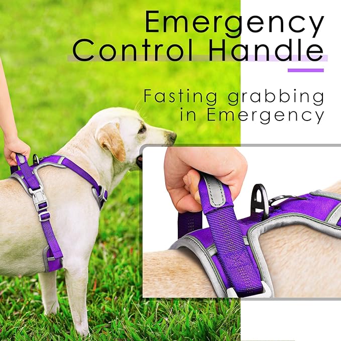 ThinkPet No Pull Harness Set Breathable Sport Harness with Handle - Reflective Padded Dog Safety Vest with Reflective Neon Dog Leash S Harness Leash Pack Purple