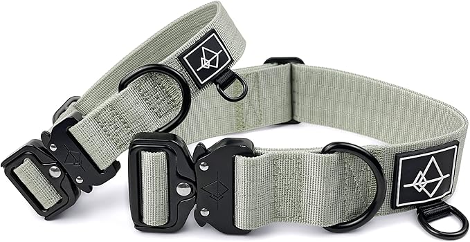 Made to ROAM Premium Dog Collar - Adjustable Heavy Duty Nylon Collar with Quick-Release Metal Buckle (Eucalyptic Glow, Classic Size 4)