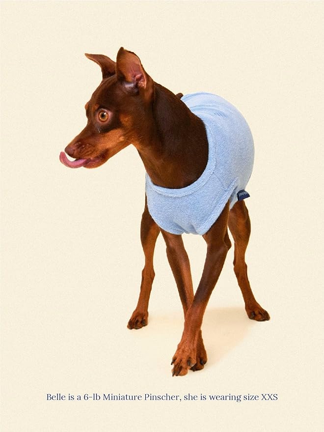 ADEDAS Sleeveless Shirt - Blue L