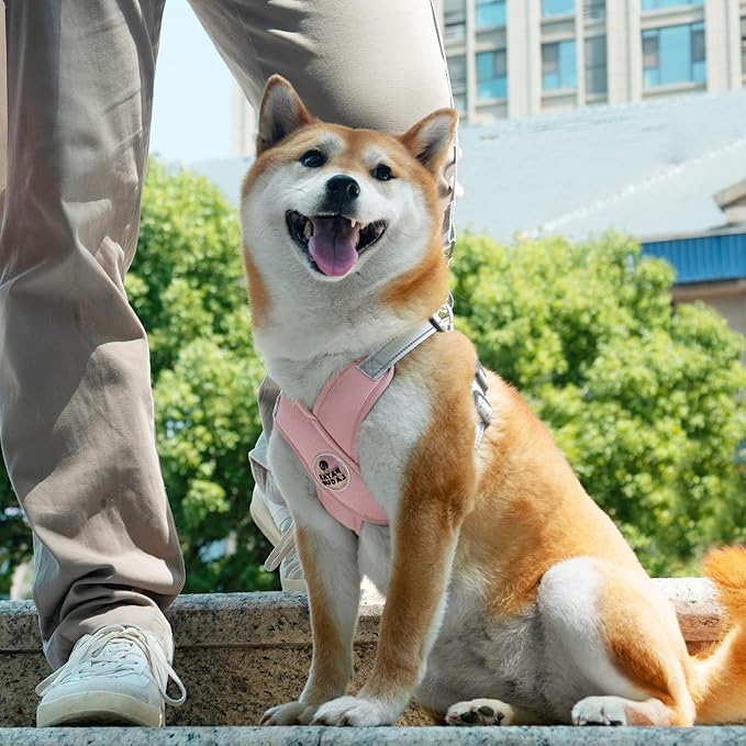 Patas Lague Dog Harness with Leash Set Adjustable Soft Padded Step-in Dog Vest No Choke No Pull Reflective for Small Medium Pets with Poop Bags and Dispenser, Solid and No-chew, Pink M