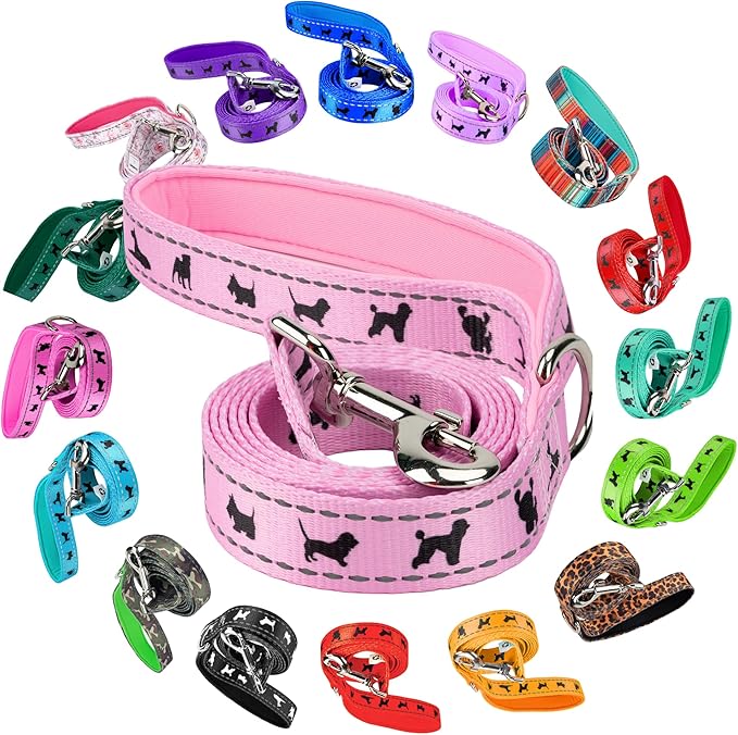 EcoBark Dog Leash - 4 FT / 5 FT / 6 FT Reflective Dog Leash- Eco-Bright Dog Leashes with Padded Handle - Strong Heavy Duty Dog Leash - Nylon Dog Leash for Small and Medium Dogs (Baby Pink Dog Leash)