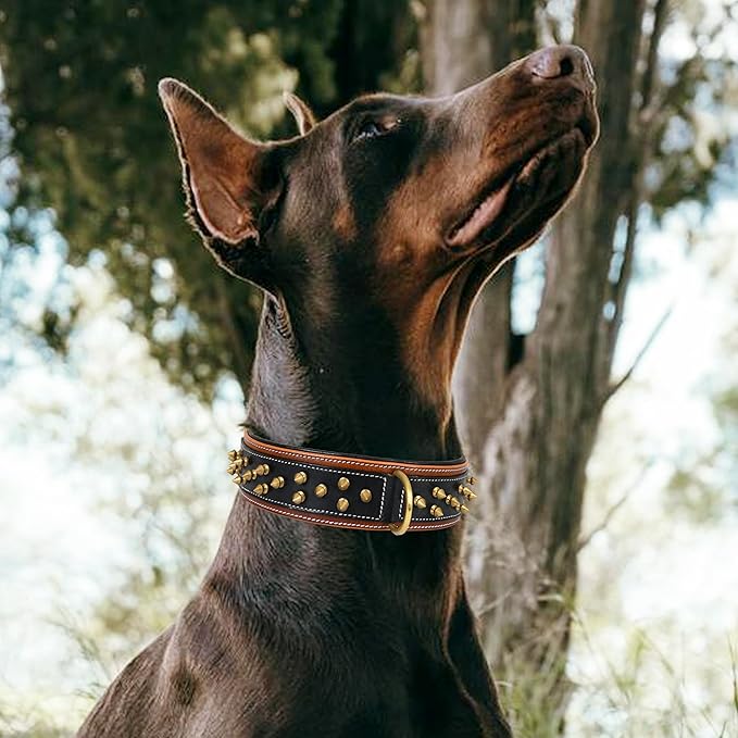 Genuine Leather Dog Collar by Leatherific, Premium Bridle Leather, Heavy Duty, Padded, Strong, Screwed Spikes, Medium, Large, Extra Large Breeds, 2" Wide (Charcoal, Neck Size 14"-18")