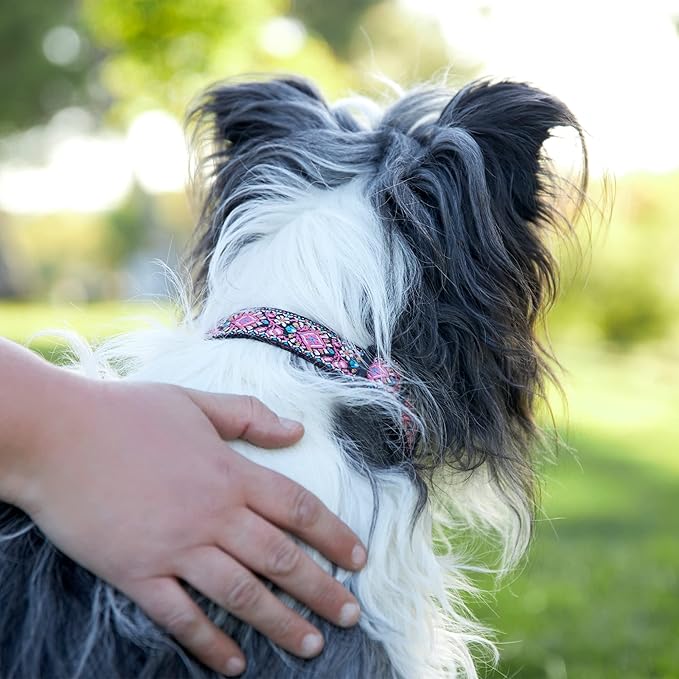 Dog Collar for Small Medium & Large Dogs - Heavy Duty Cotton Collar, Long Lasting, Adjustable, Strong and Durable and Quick Release Buckle, Quality Pink – Get It Now!