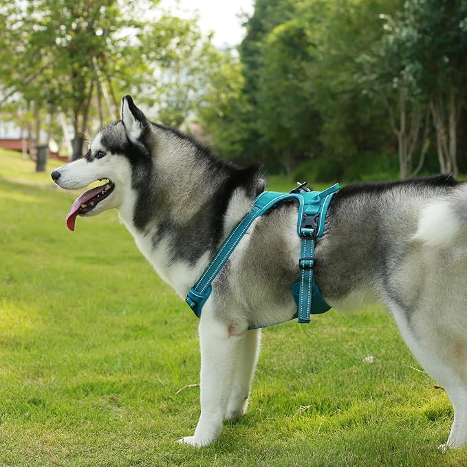 No Pull Dog Harness for Extra Small Dogs, Dual Leash Attachments, Adjustable Soft but Strong Pet Harness with 3M Reflective Technology, Turquoise Nylon, XS (Chest: 13-16")