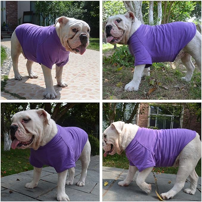 Lovelonglong Pet Clothing Dog Costumes Basic Blank T-Shirt Tee Shirts for Medium Dogs Purple XXL
