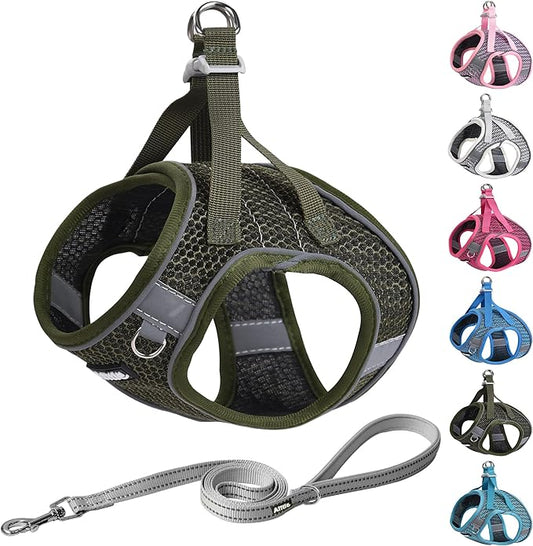 AIITLE Puppy Harness - Lightweight Air Mesh - Step in Harness with Leash - No Pull & No Choke Padded Vest - Reflective for Small Dogs & Cats - Army Green XXS